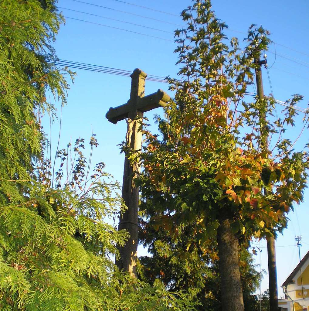 PA160027.JPG