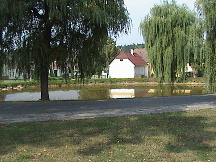 Zdejší rybník